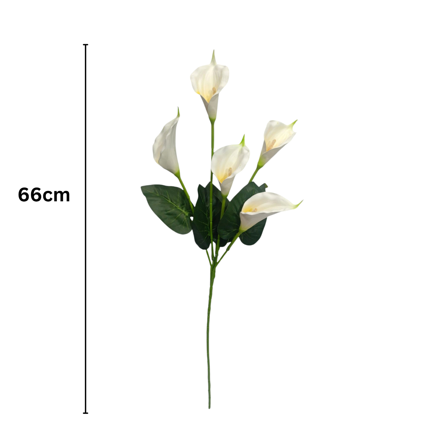 Bunch Cala Lily 5Stick 24.5" White (Pack of 5)