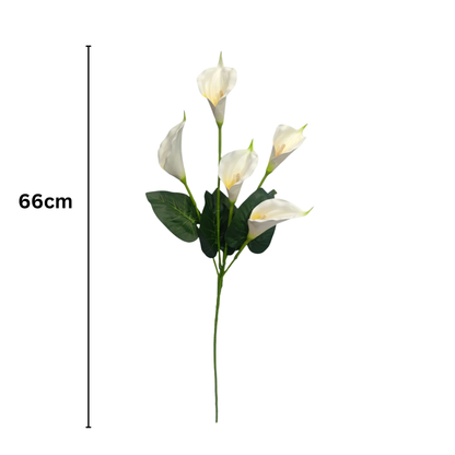 Bunch Cala Lily 5Stick 24.5" White (Pack of 5)