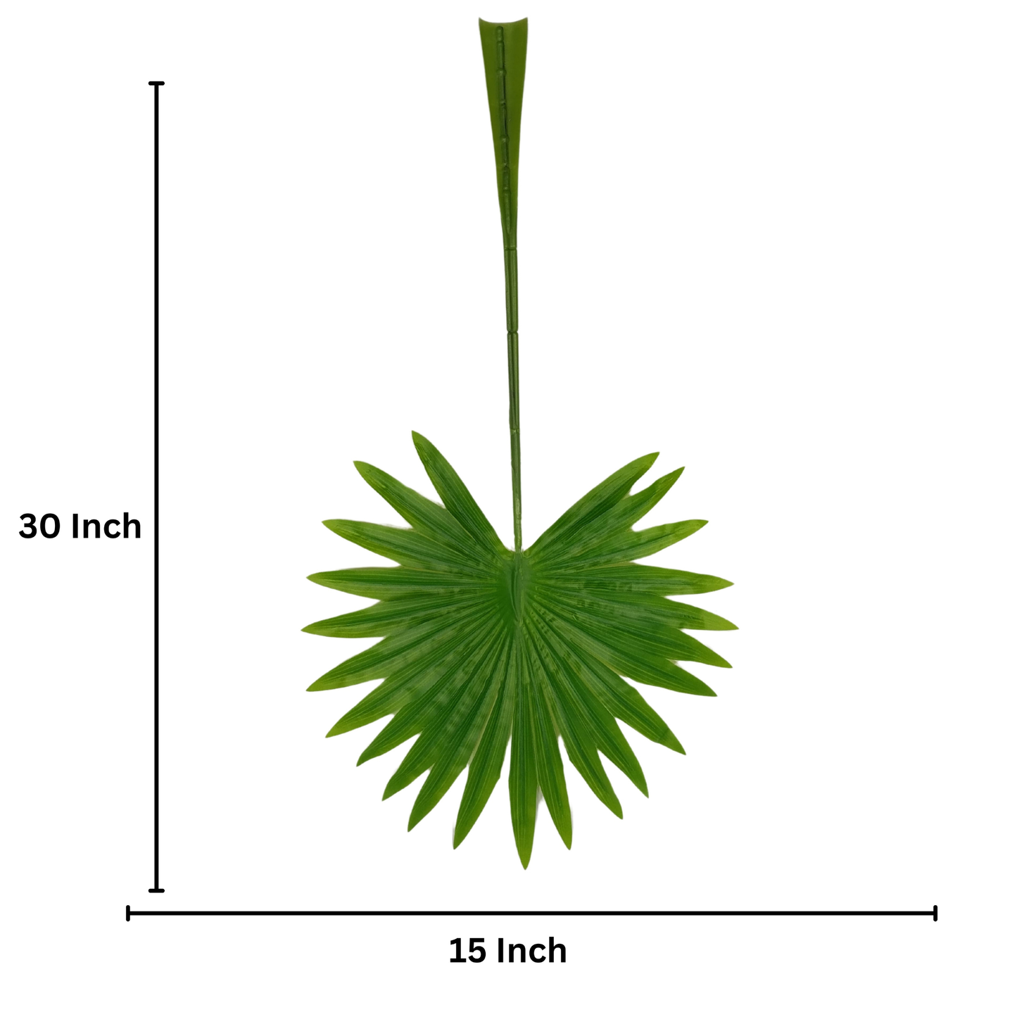 Palm Leaf Round 30" x 15" Green (Pack of 10)