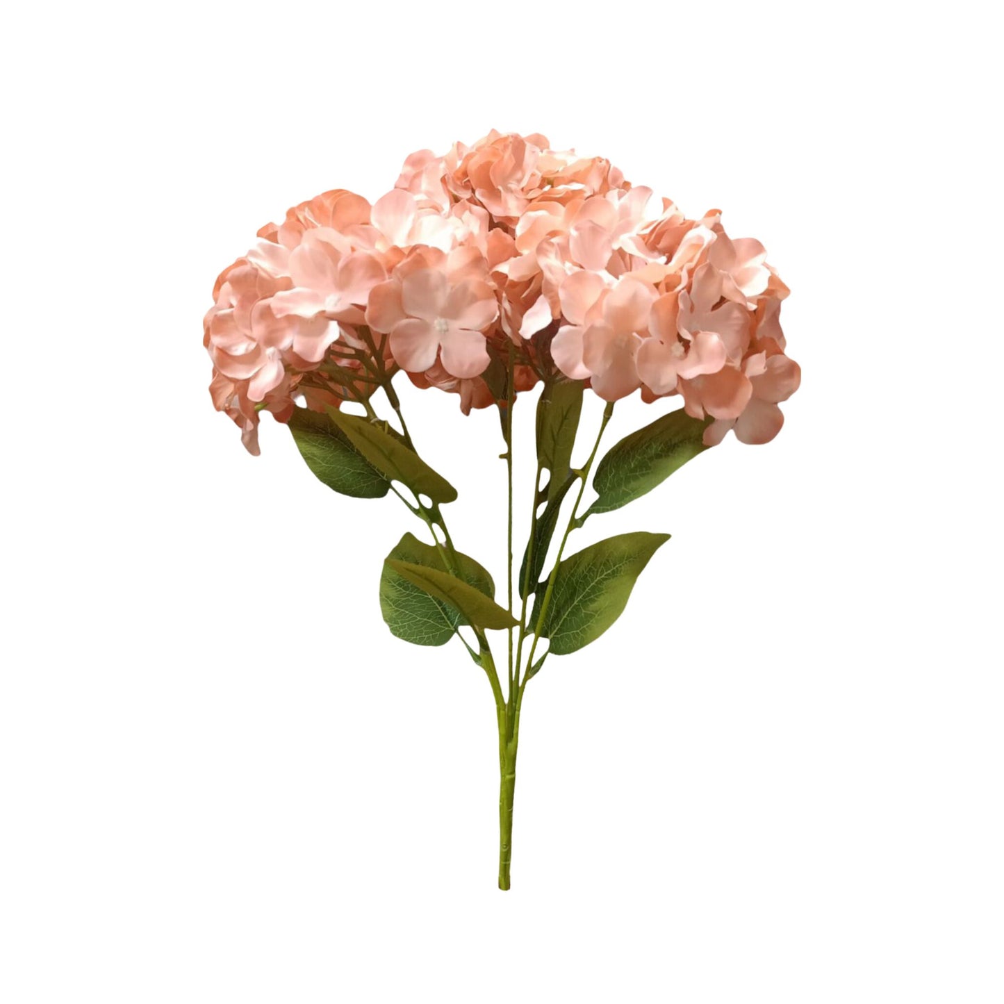 Premium Hydrangea Bunch5 Stick 48 cm Peach Brown (Pack of 5)