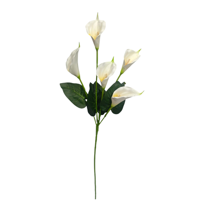 Bunch Cala Lily 5Stick 24.5" White (Pack of 5)