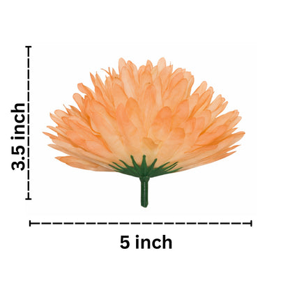 Orange flower with measurements on a white background