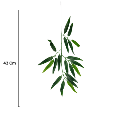 Bamboo/Moriya Leaf 43cm Green (Pack of 10)