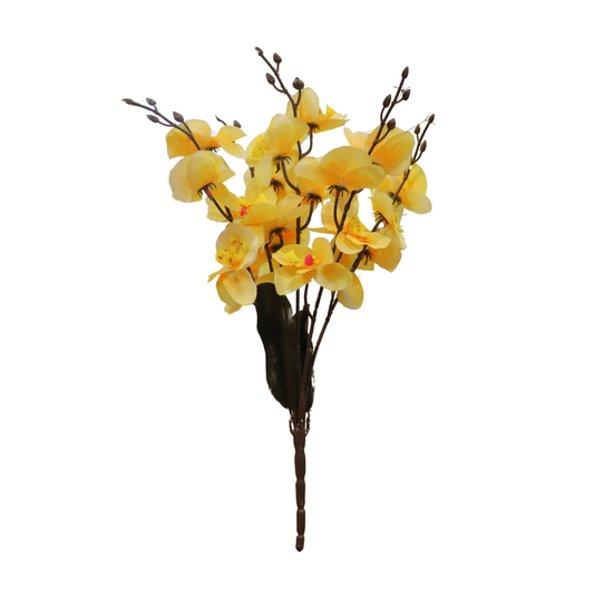 Cymbidium Bunch 17" Yellow (Pack of 5)