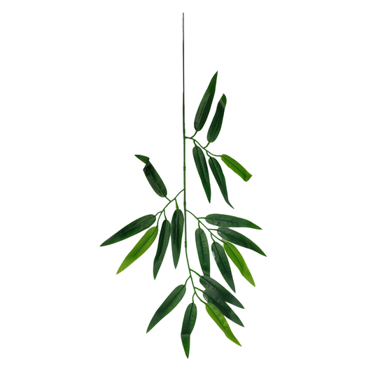 Bamboo/Moriya Leaf 43cm Green (Pack of 10)