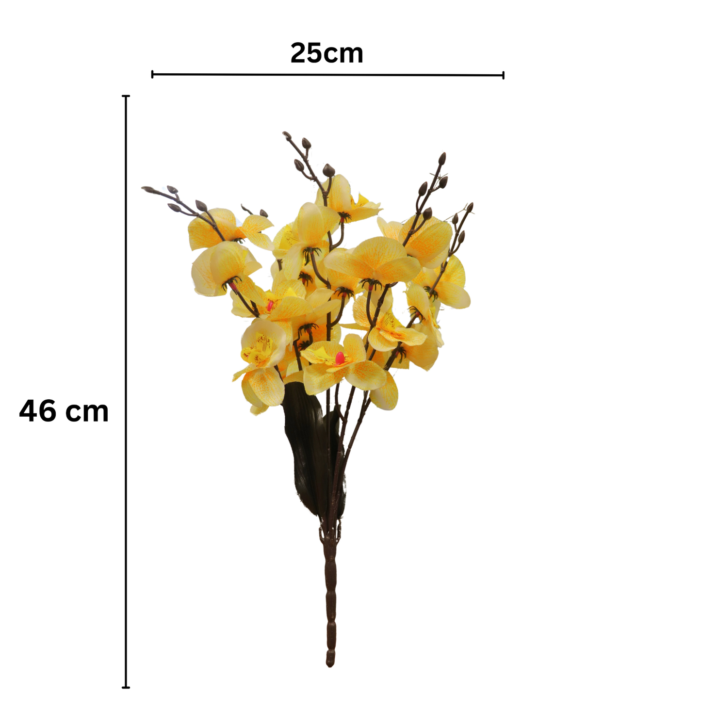 Cymbidium Bunch 17" Yellow (Pack of 5)