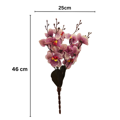 Cymbidium Bunch 17" Purple (Pack of 5)