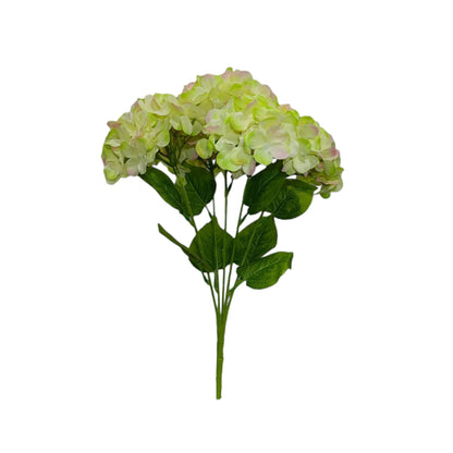 Premium Hydrangea Bunch 5 Stick 48 cm Light Green White (Pack of 5)