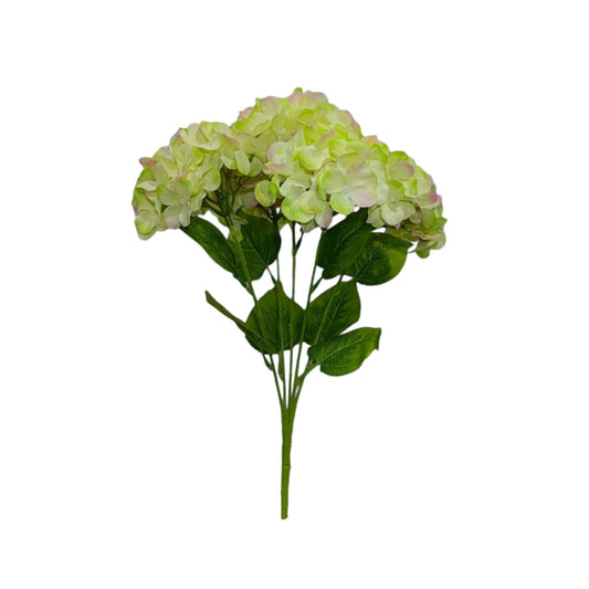 Premium Hydrangea Bunch 5 Stick 48 cm Light Green White (Pack of 5)