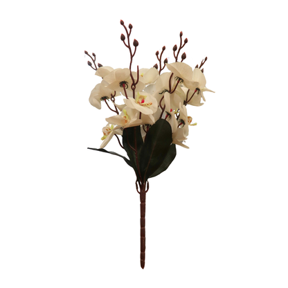 Cymbidium Bunch 17" White (Pack of 5)