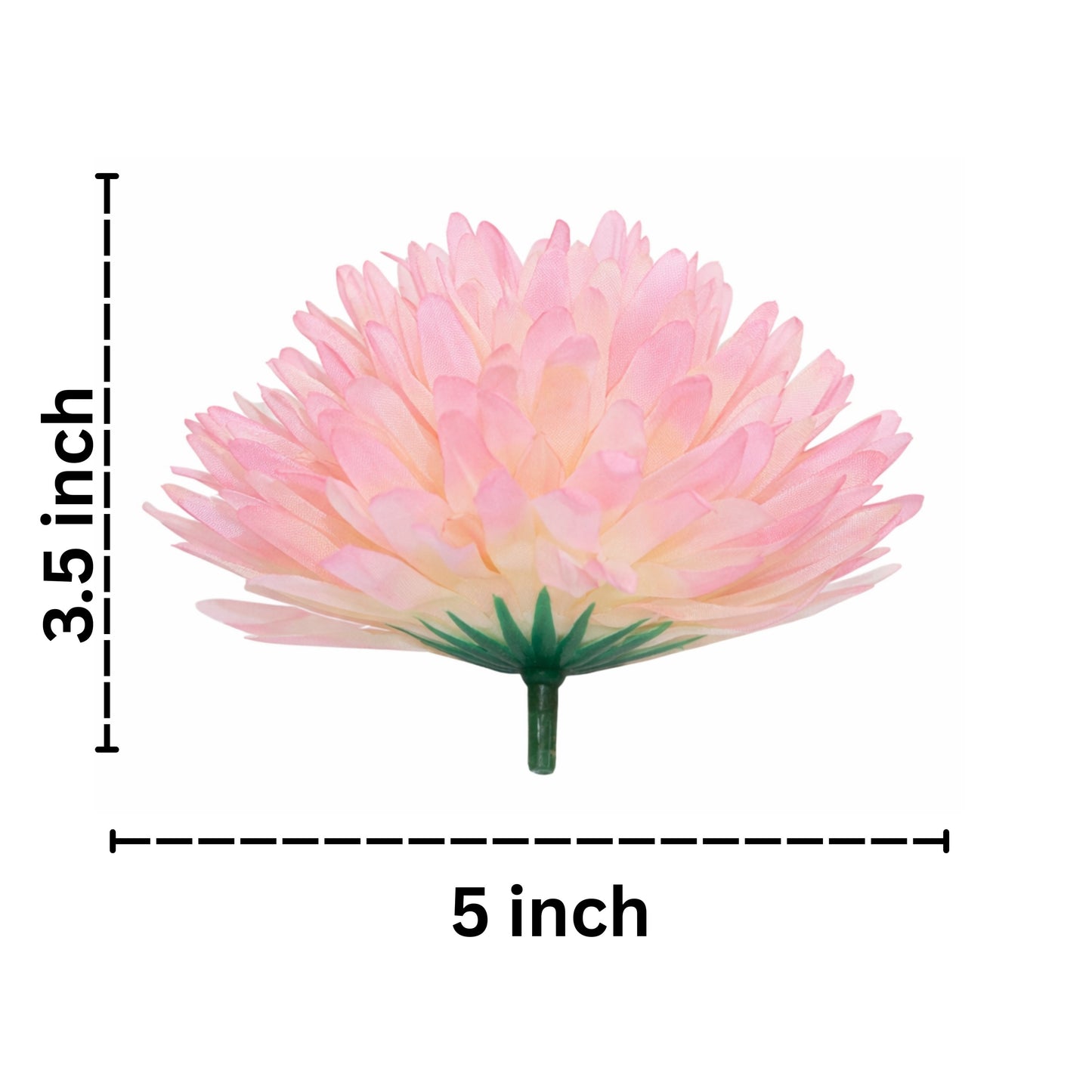 Measurement chart of a pink flower with dimensions labeled on a white background