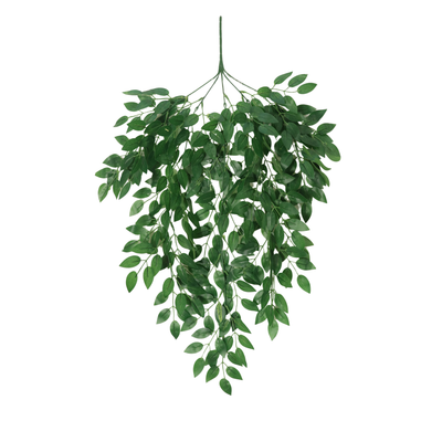 Hanging Natural Leaf (Pack of 10)