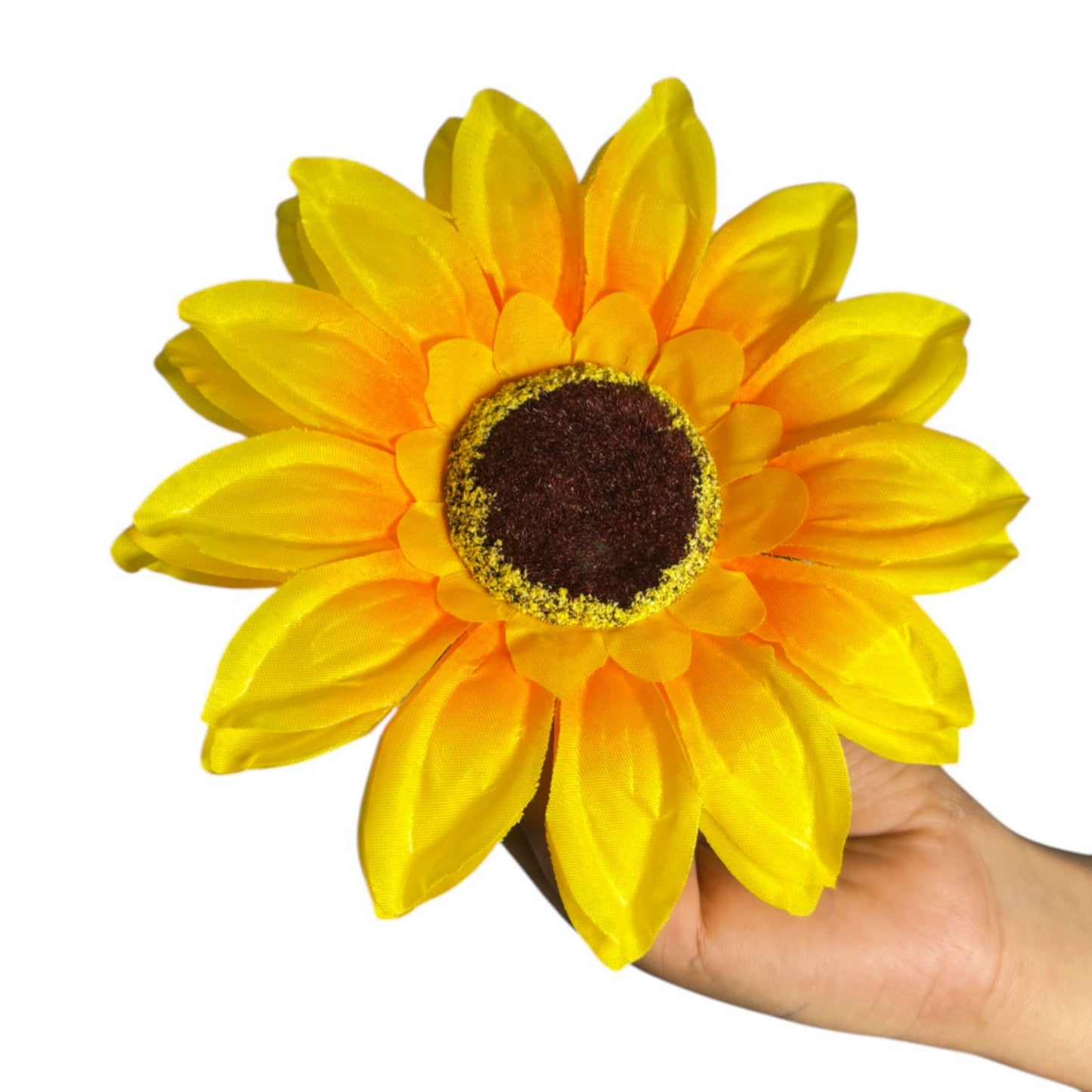 Large Sun Flower Yellow orange (Pack of 100)