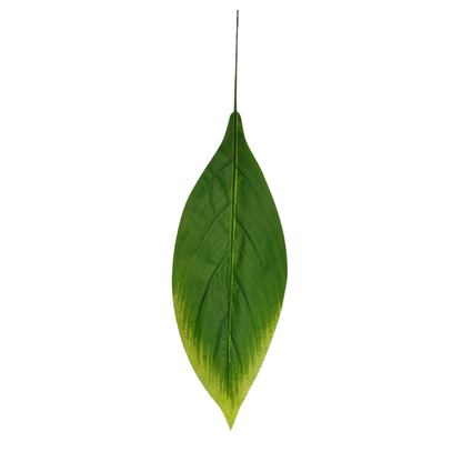 Badam Leaf 21" x 6" Green (Pack of 10)