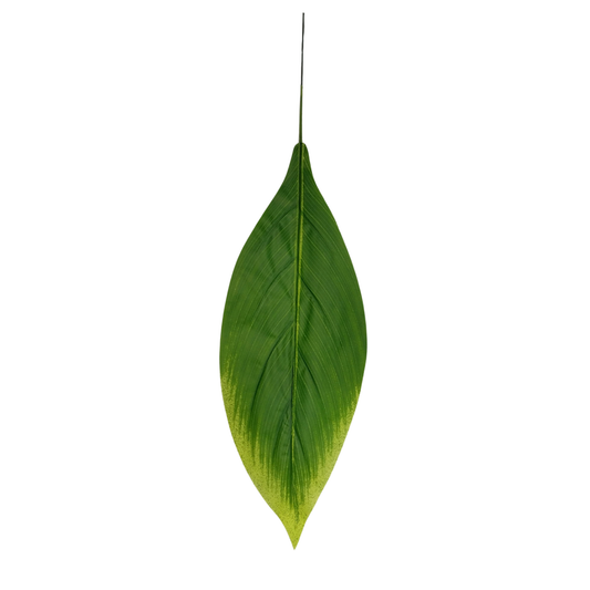 Badam Leaf 21" x 6" Green (Pack of 10)
