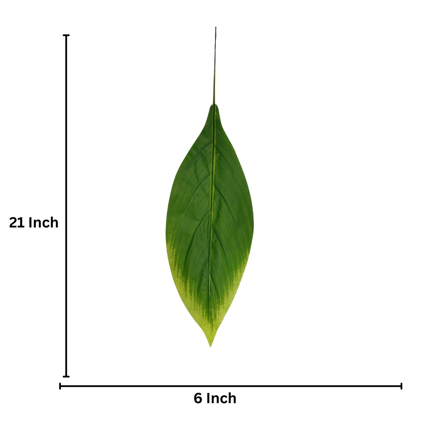 Badam Leaf 21" x 6" Green (Pack of 10)