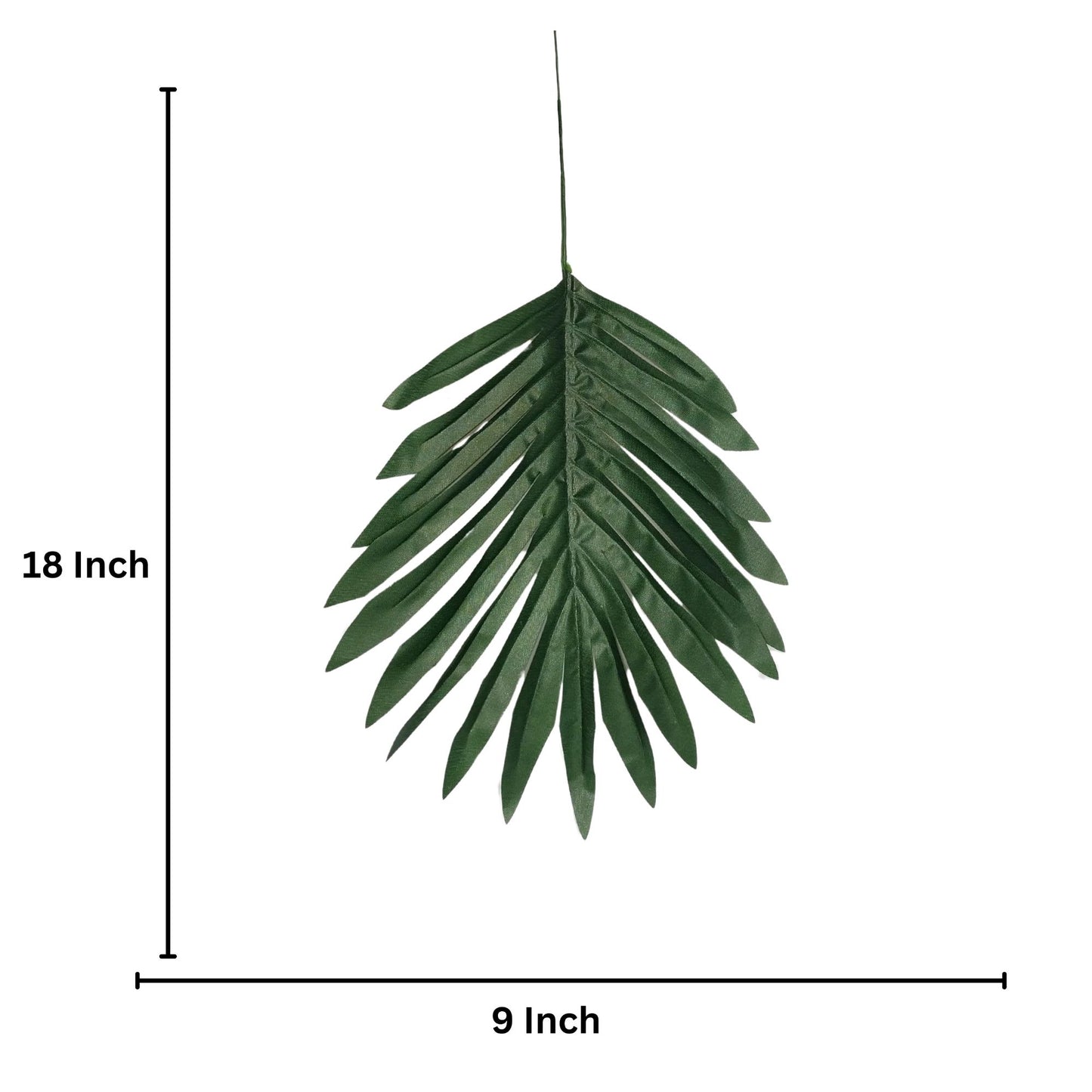 Palm Leaf 18" X 9" Green (Pack of 10)