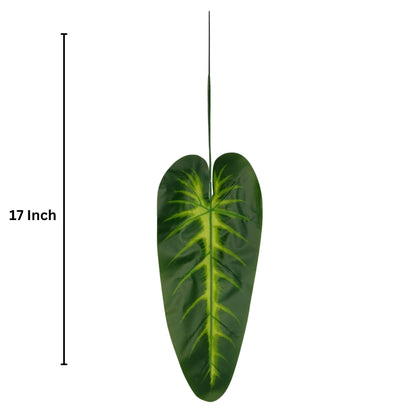 Plaesea Parviflora Leaf 17" Dark Green  (Pack of 10)