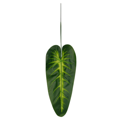 Plaesea Parviflora Leaf 17" Dark Green  (Pack of 10)