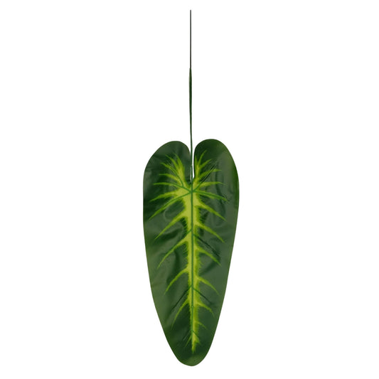 Plaesea Parviflora Leaf 17" Dark Green  (Pack of 10)