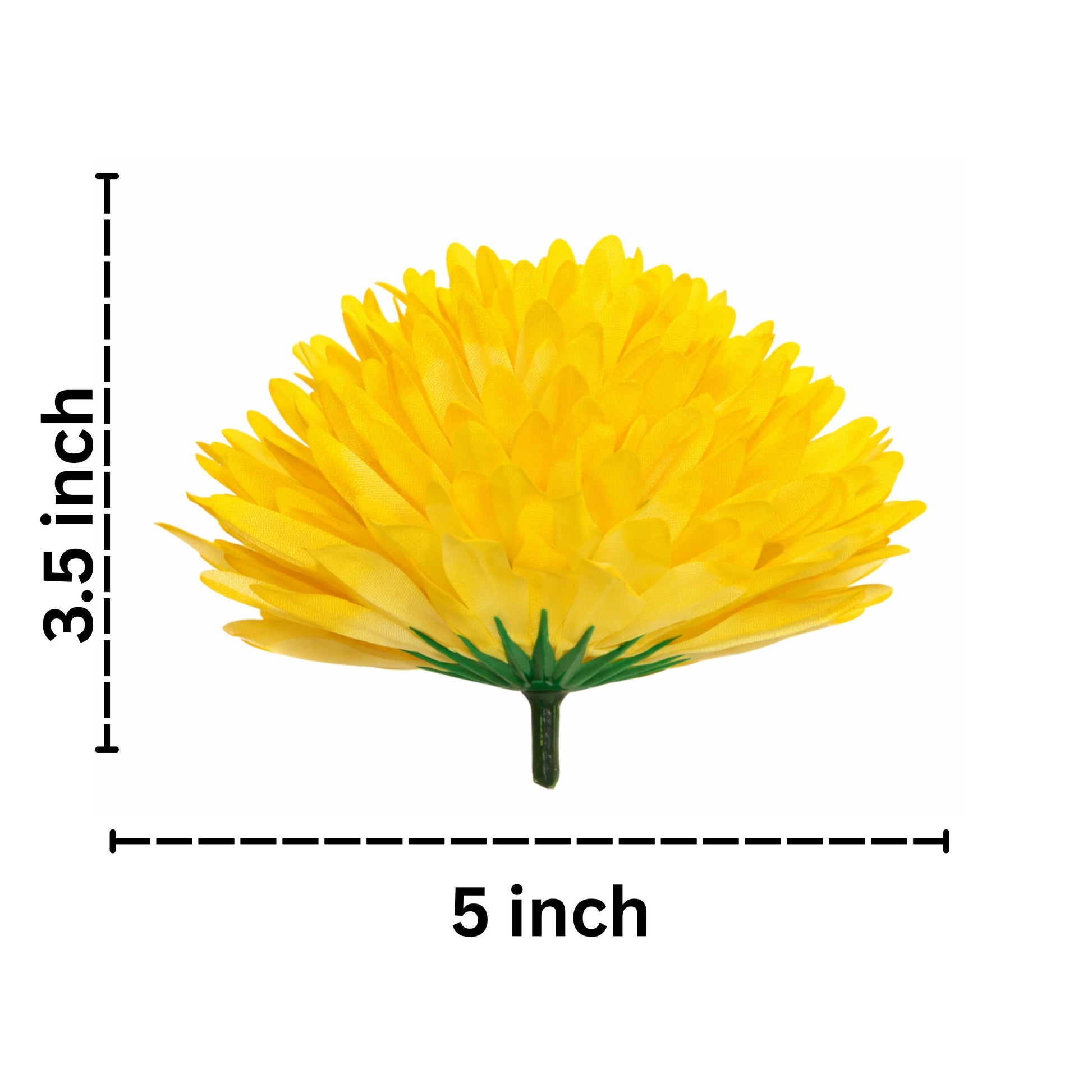 Yellow flower with dimensions labeled on a white background