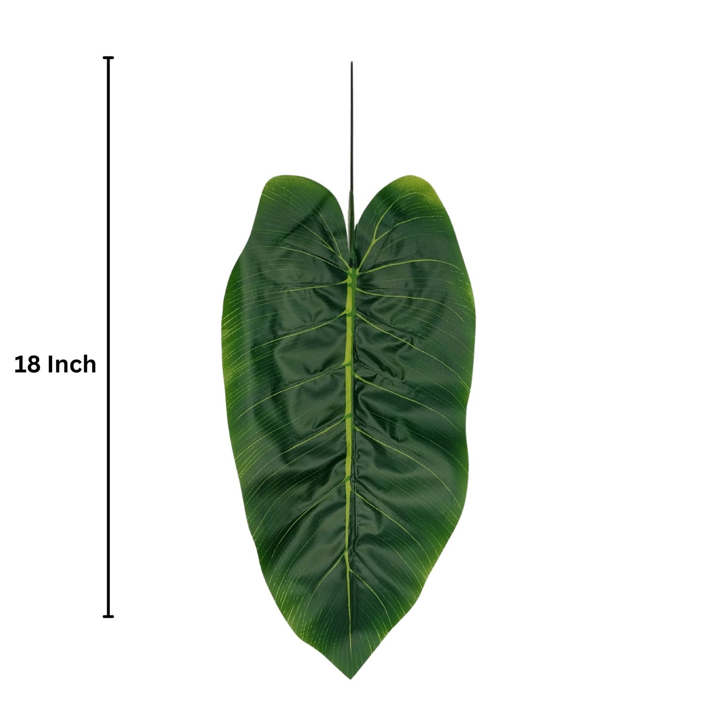 Banana Leaf 18" (Heavy) Dark Green  (Pack of 10)