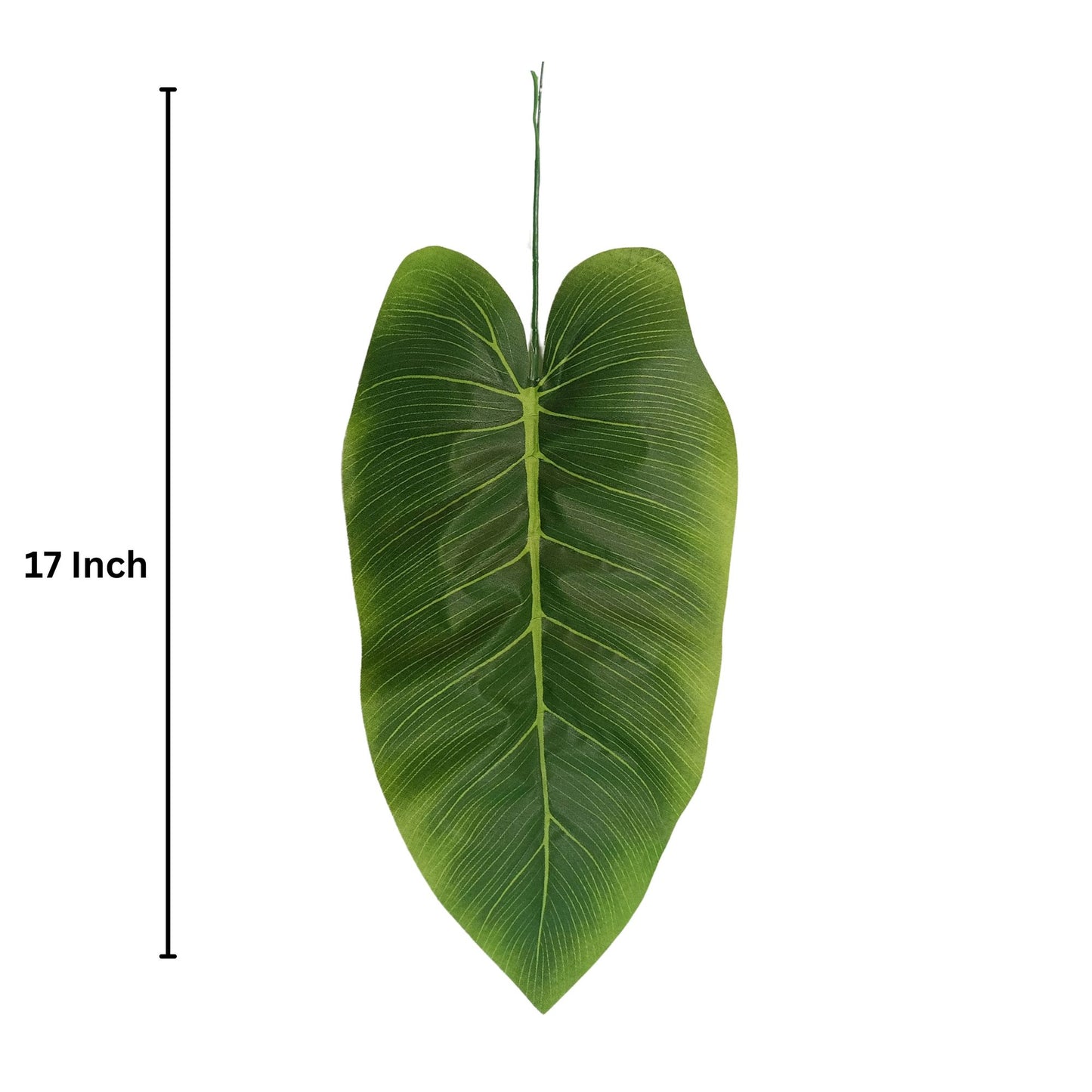 Banana Leaf 17" (Light) Green  (Pack of 10)