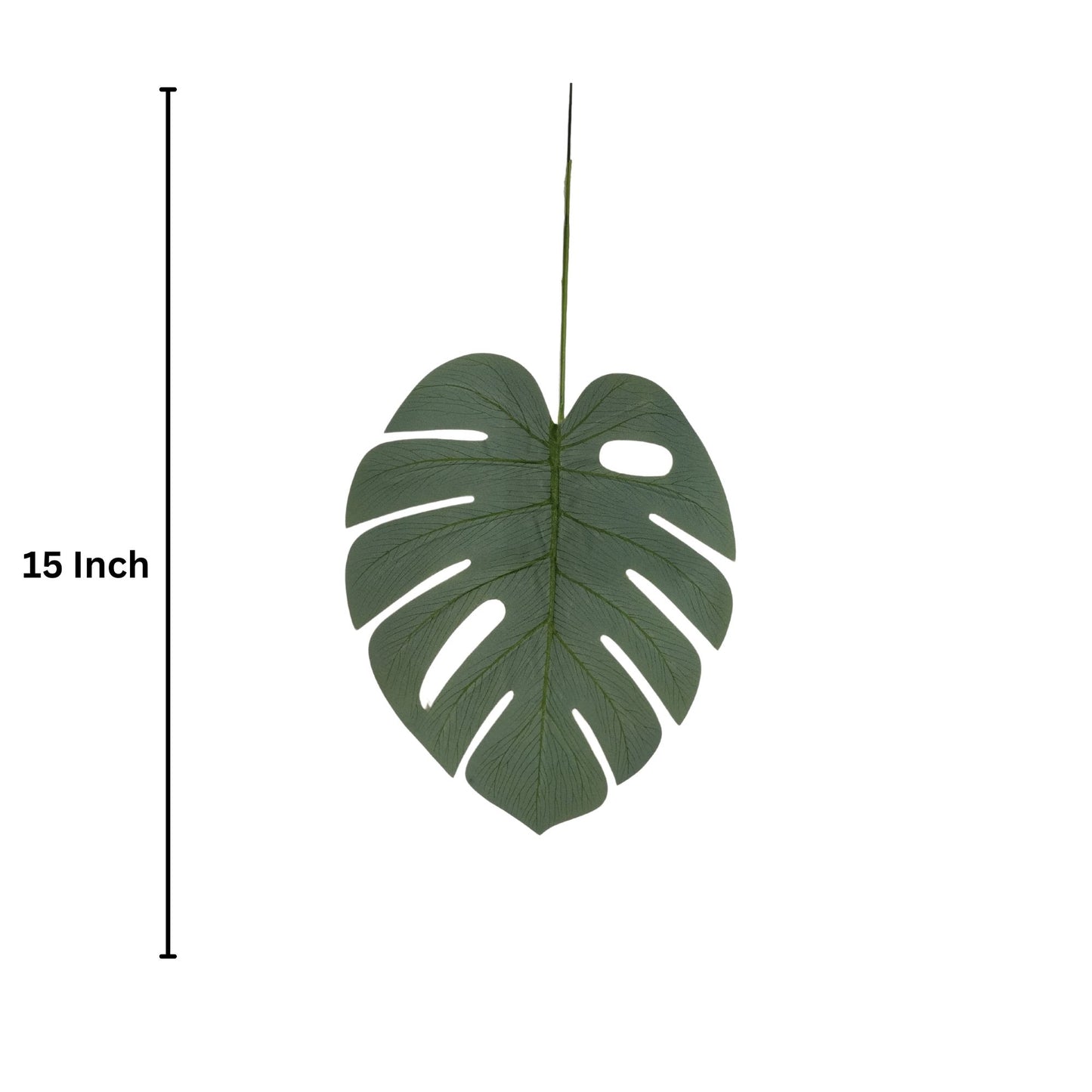 Monstera Leaf Stick 15" Light Green  (Pack of 10)