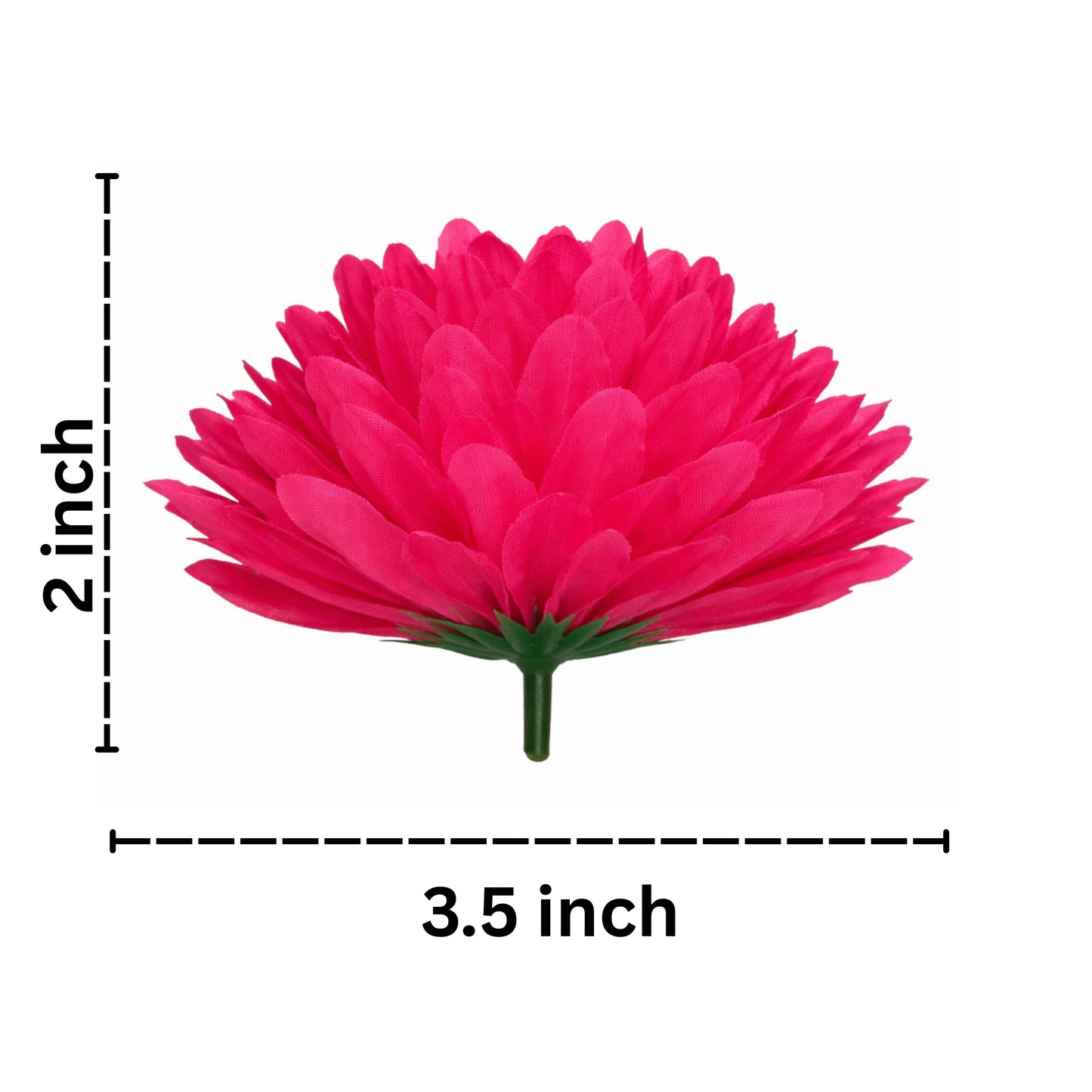 Measurement chart of a pink flower with dimensions labeled