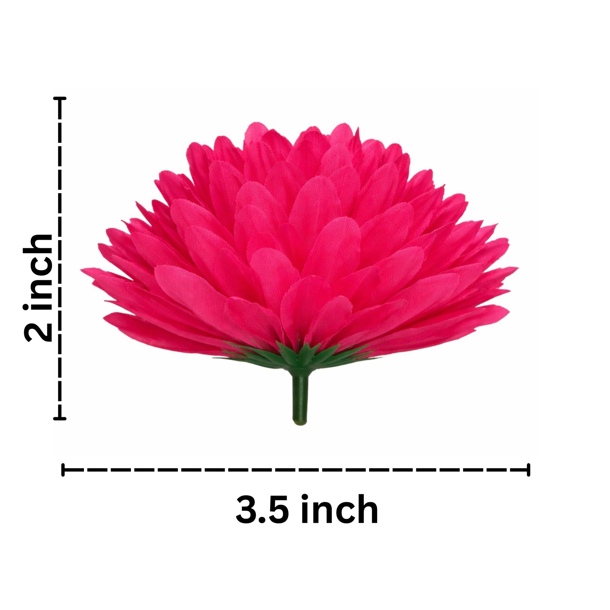 Measurement chart of a pink flower with dimensions labeled