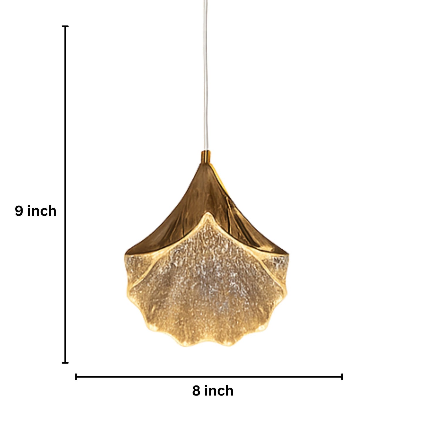 Hanging Elegant Shell Light (Set of 5 Pc's)