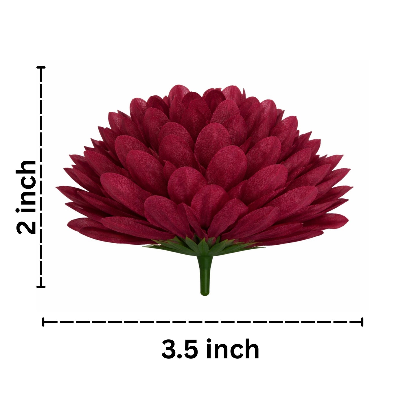 Red flower with dimensions labeled on a white background