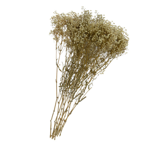 Artifical Flower Gypsy Brown (Pack of 5)