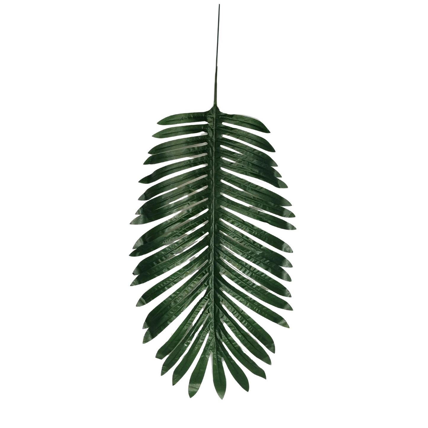 Palm Leaf Stick Big25X11'' Green (Pack of 10)