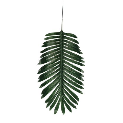 Palm Leaf Stick Big25X11'' Green (Pack of 10)
