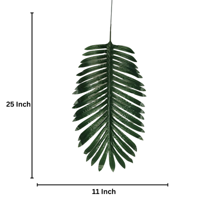 Palm Leaf Stick Big25X11'' Green (Pack of 10)