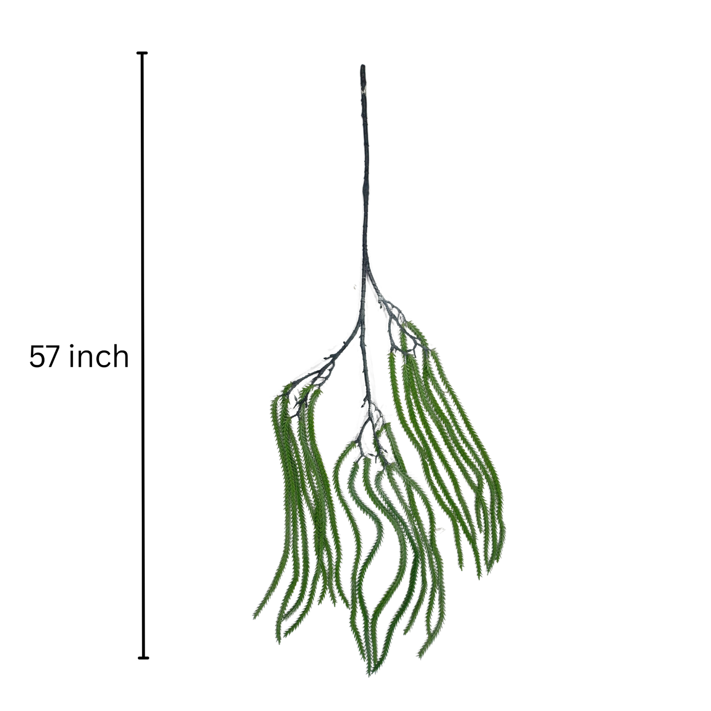 Hanging Fish Palm Leaf Light Green (Pack of 10)