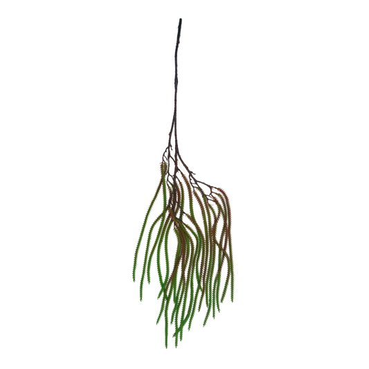 Hanging Fish Palm Leaf Green Brown (Pack of 10)