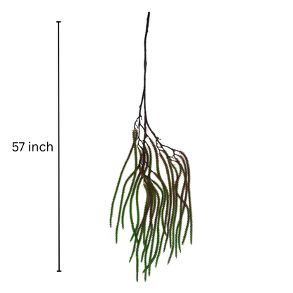 Hanging Fish Palm Leaf Green Brown (Pack of 10)