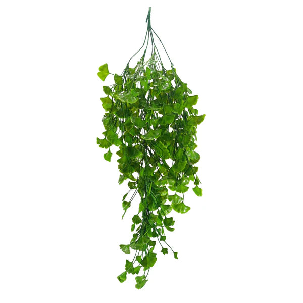 Hanging Ginkgo Biloba Green (Pack of 10)