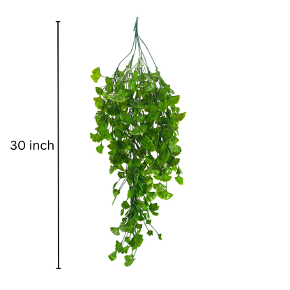 Hanging Ginkgo Biloba Green (Pack of 10)
