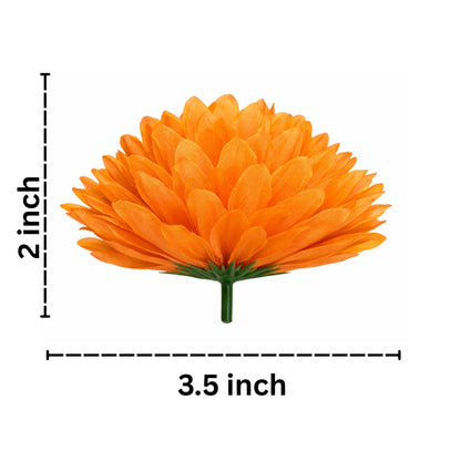 Orange flower with measurements on a white background