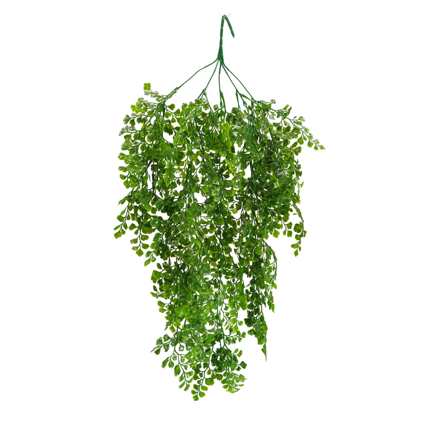 Hanging Capillus D/s Green (Pack of 10)