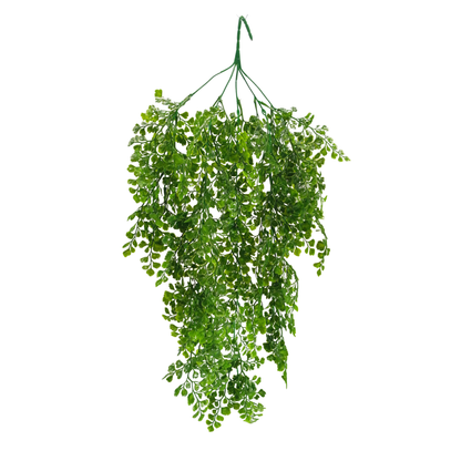 Hanging Capillus D/s Green (Pack of 10)