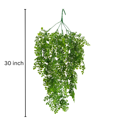 Hanging Capillus D/s Green (Pack of 10)