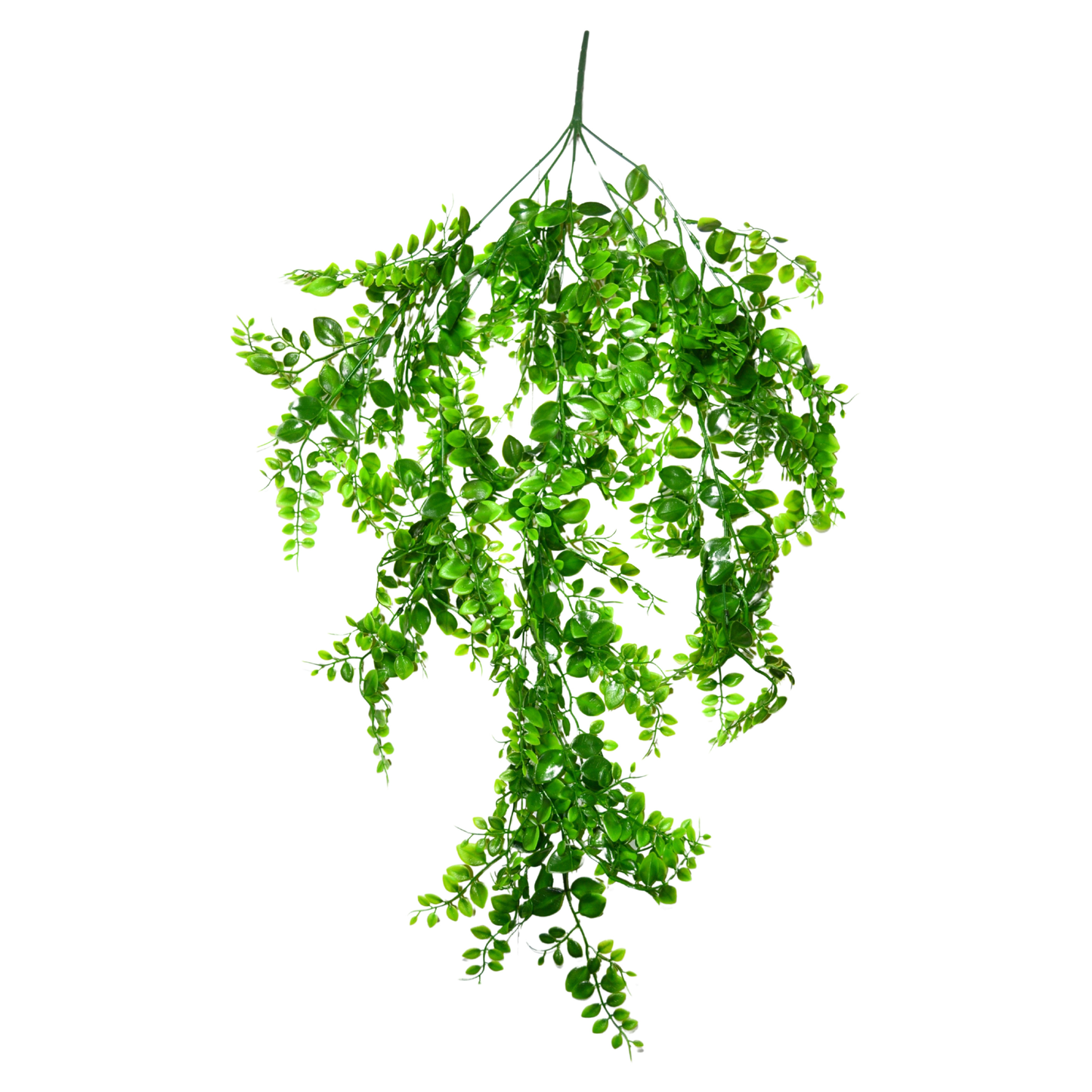 Hanging Eucalyptus Light Green White (Pack of 10)
