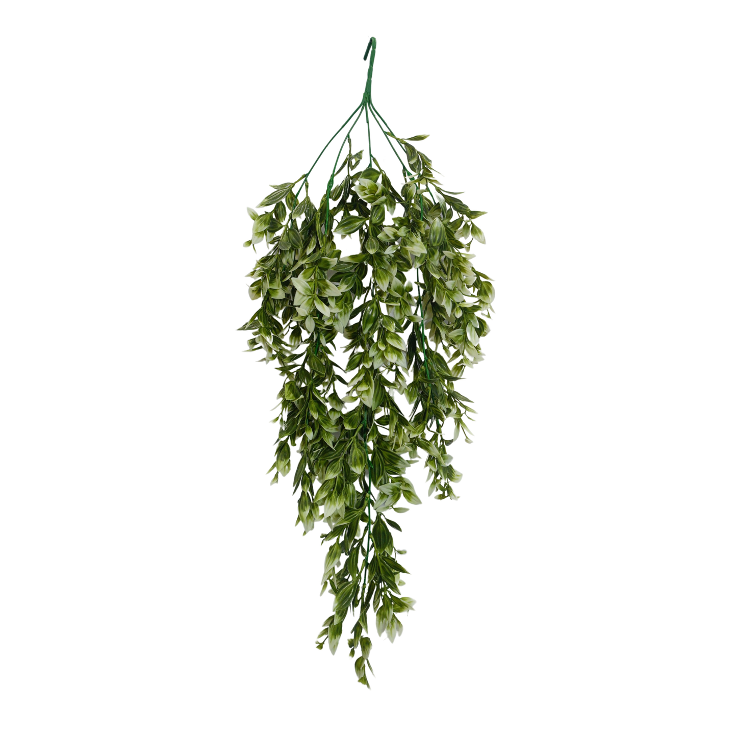 Hanging Spiderwort Leaf D/s Green (Pack of 10)