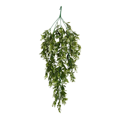Hanging Spiderwort Leaf D/s Green (Pack of 10)