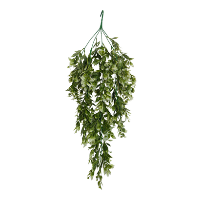 Hanging Spiderwort Leaf D/s Green (Pack of 10)