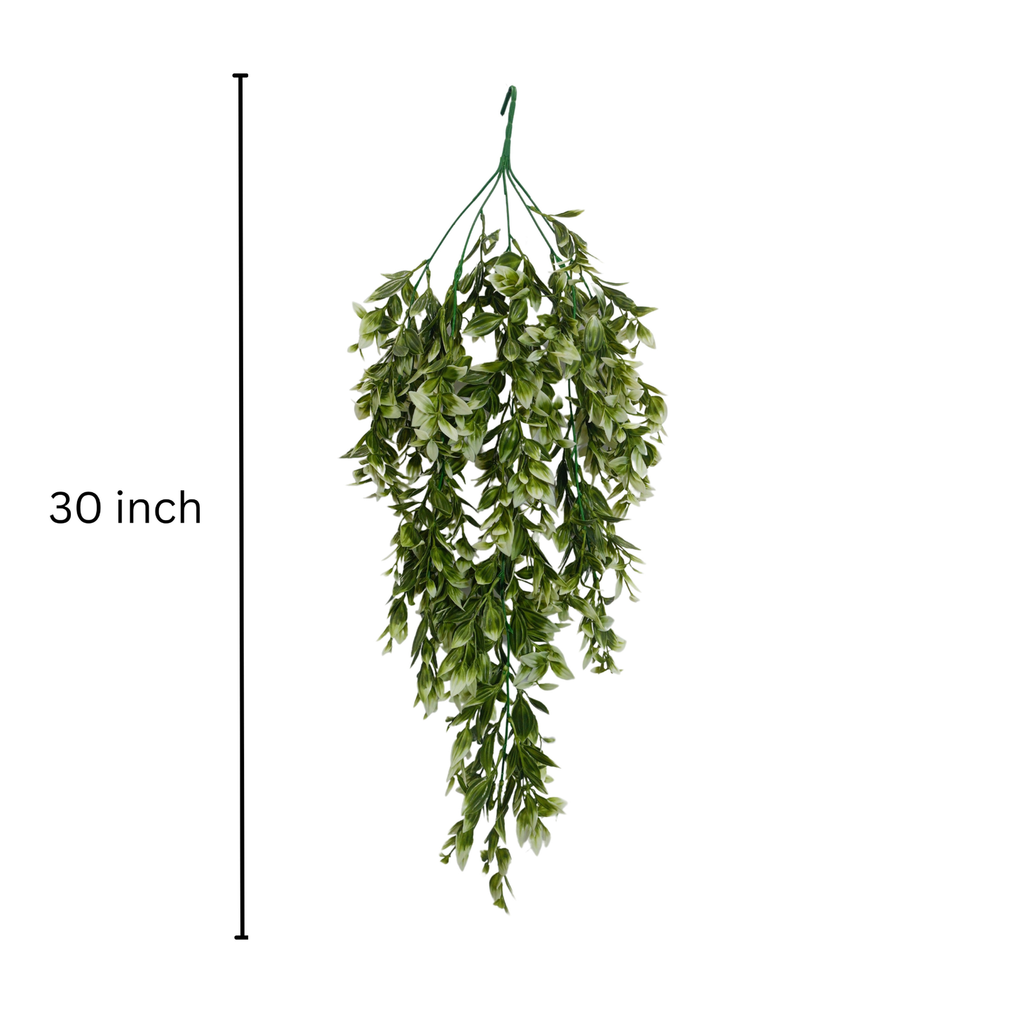 Hanging Spiderwort Leaf D/s Green (Pack of 10)